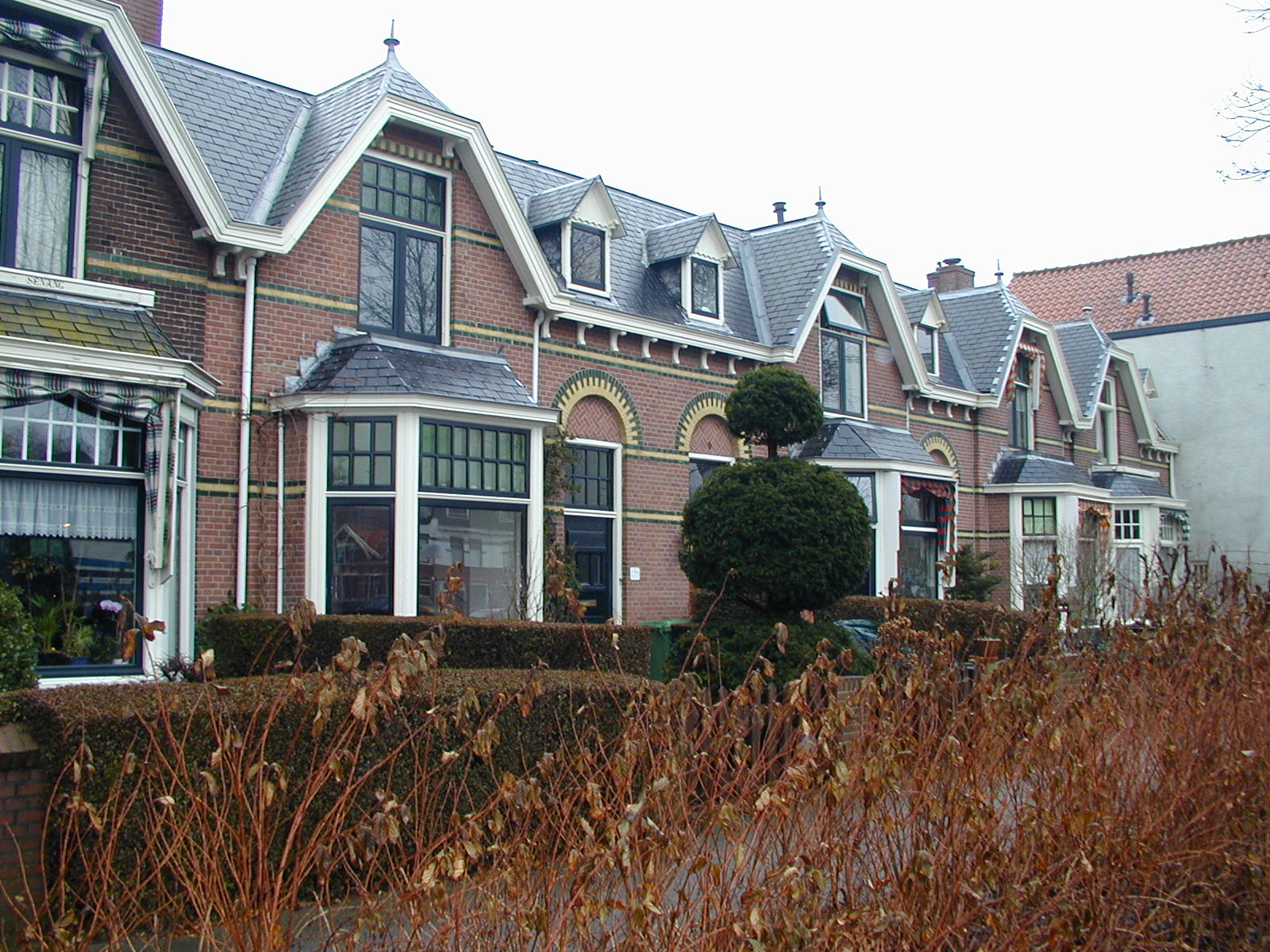 littlehsesamsterdam.jpg